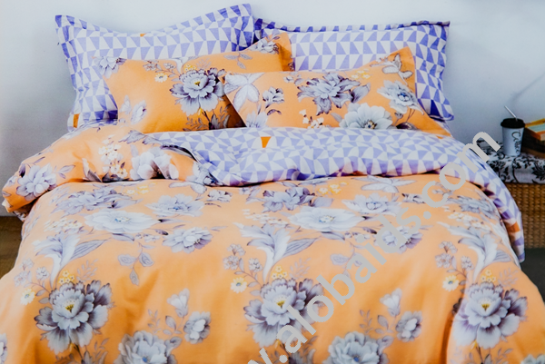 صورة المنتج